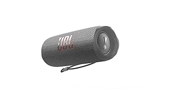 Amazon.com: JBL Flip 6 - Portable Bluetooth Speaker